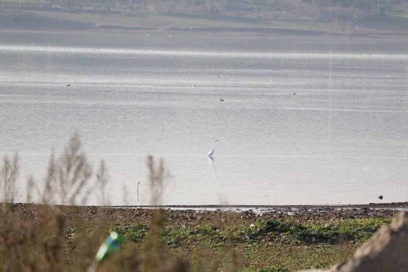İstanbul Su ve Kanalizasyon İdaresi (İSKİ) verilerine göre barajların bugün itibariyle doluluk oranı son 10 yılın en düşük seviyesi olan yüzde 19.47’ye kadar indi. 