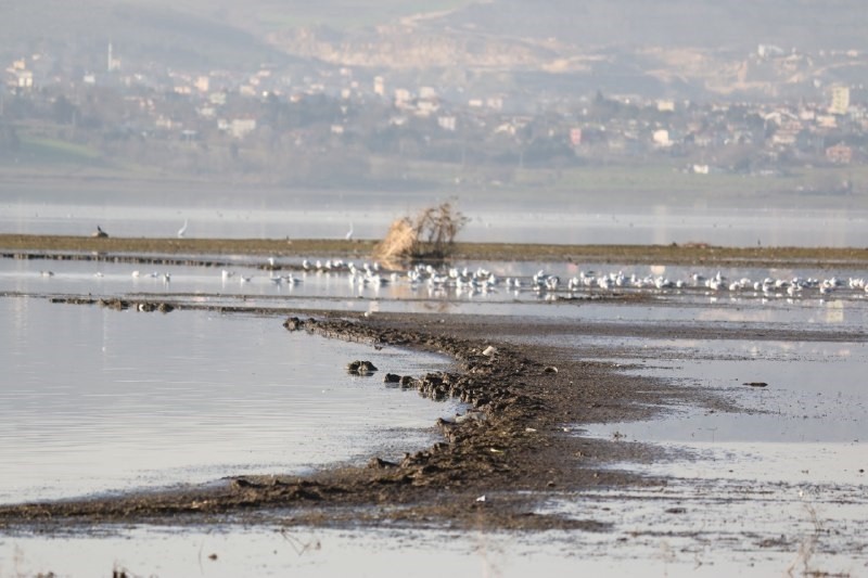 Suların yüzlerce metre çekildiği alanda çorak arazi ortaya çıktı. Suların çekilmesi ile birlikte göl içerisinde yeni kıyı seti de oluştu. 