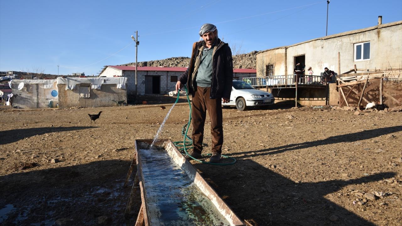 Suya olan hasret yerini sevince bıraktı 