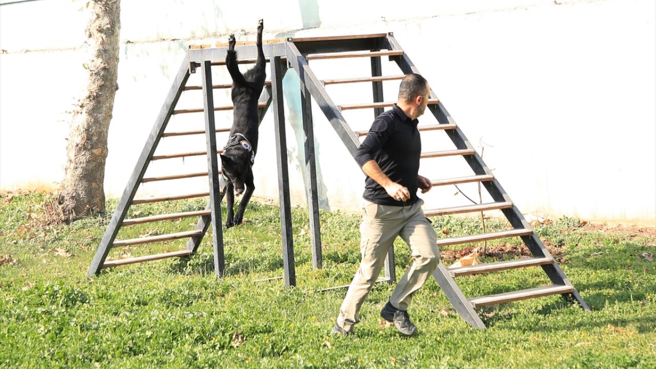 "Rutin aramalarımızda birçok maddeyi köpeklerimiz sayesinde bulduk"