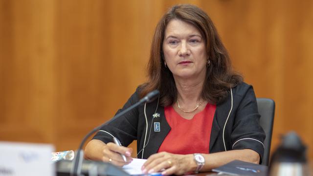 AGİTten ABDde "demokratik sürece saygı" çağrısı
