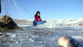 Çıldır Gölü buz tuttu, Eskimo usulü avcılık başladı