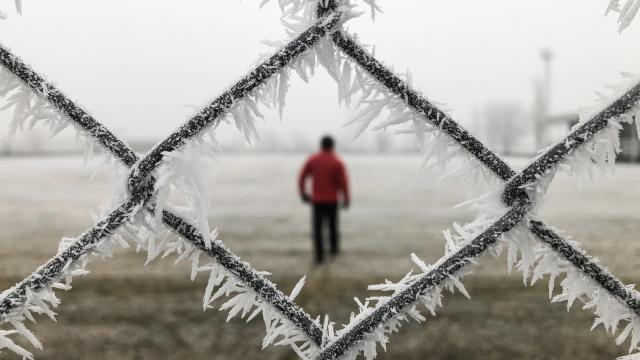 Iğdırda kırağı güzel görüntüler oluşturdu