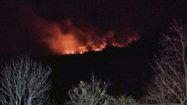 Giresunda orman yangını