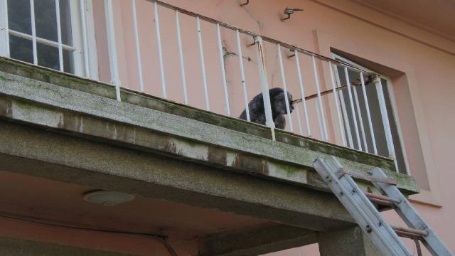 Köpeğin yardımına itfaiye ekipleri yetişti