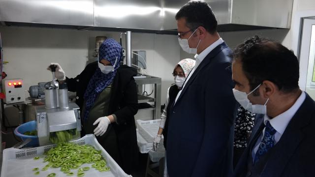 Orduda kurulan meyve sebze işleme tesisi kadınlar için gelir kapısı olacak