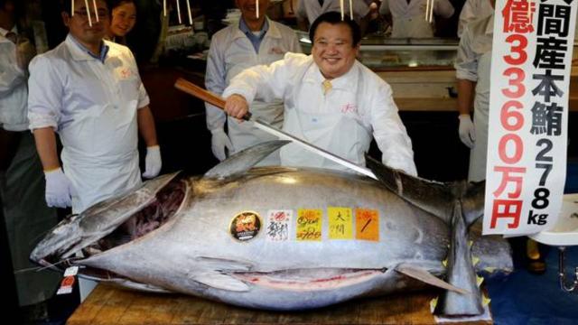 208 kilogramlık orkinos balığı 202 bin dolara satıldı
