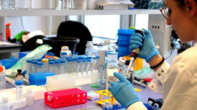 İtalyanın geliştirdiği aşıda ilk faz çalışmaları tamamlandı