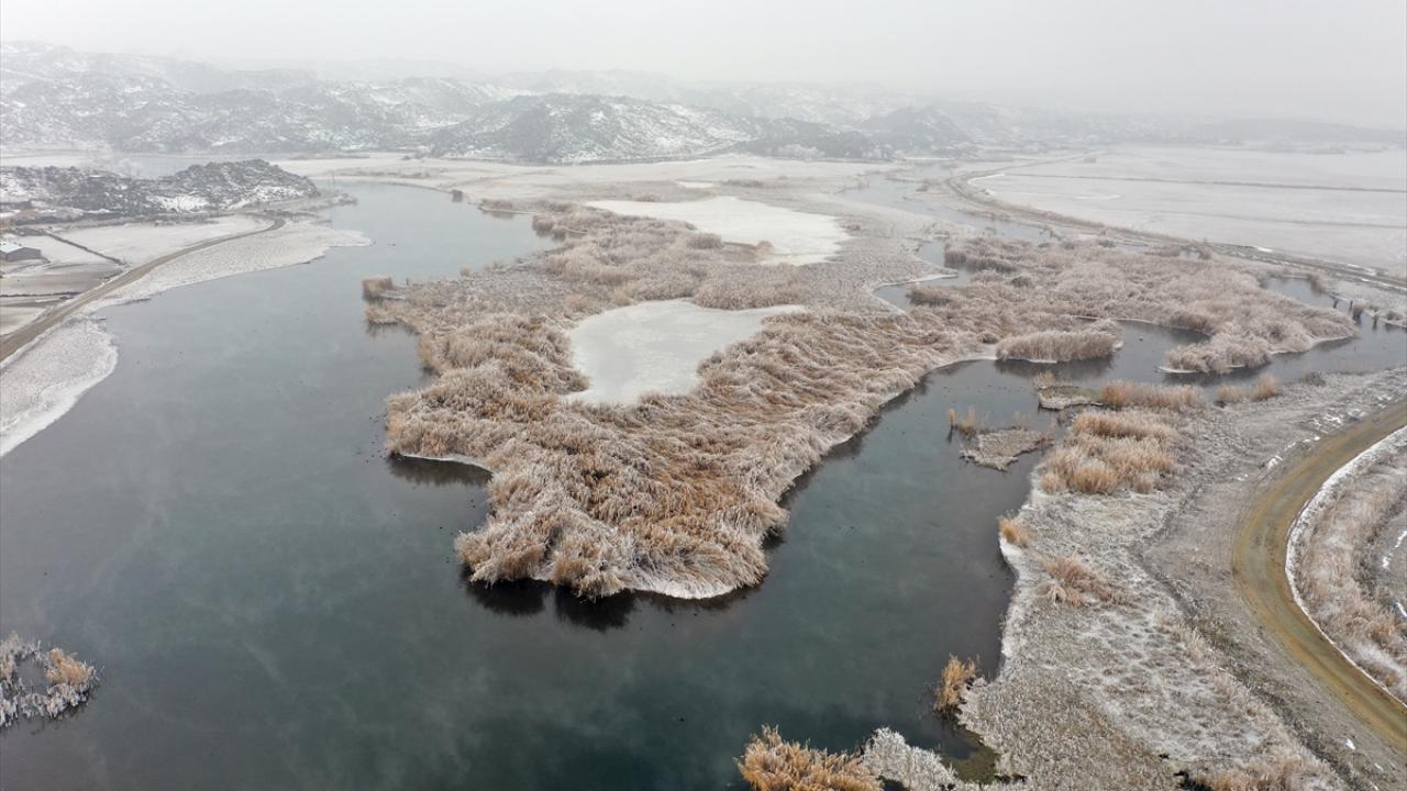 Iğdır ve Ağrı sınırındaki Ağrı Dağı eteklerinde yer alan Ağrı Dağı Milli Parkı`ndaki sulak alanlar, hava sıcaklığının sıfırın altına düşmesiyle buzla kaplandı.
