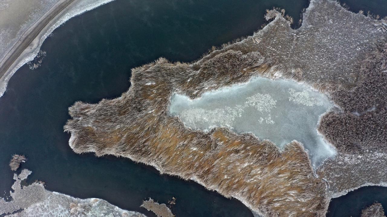 Bölgedeki ağaç ve bitkilerin kırağı tuttuğu milli parkta güzel manzaralar oluştu.