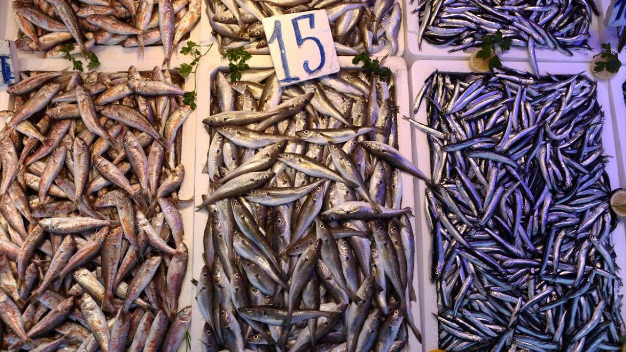 Ortahisar ilçesi Moloz mevkisindeki balıkçıların tezgahlarını dolduran hamsi, sargan, istavrit, mezgit ve barbunyaya talep yoğun.