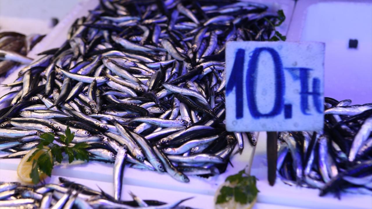 Mehmet Örsaloğlu da bugün tezgahların bol miktarda balıkla şenlendiğini ifade ederek şöyle konuştu: