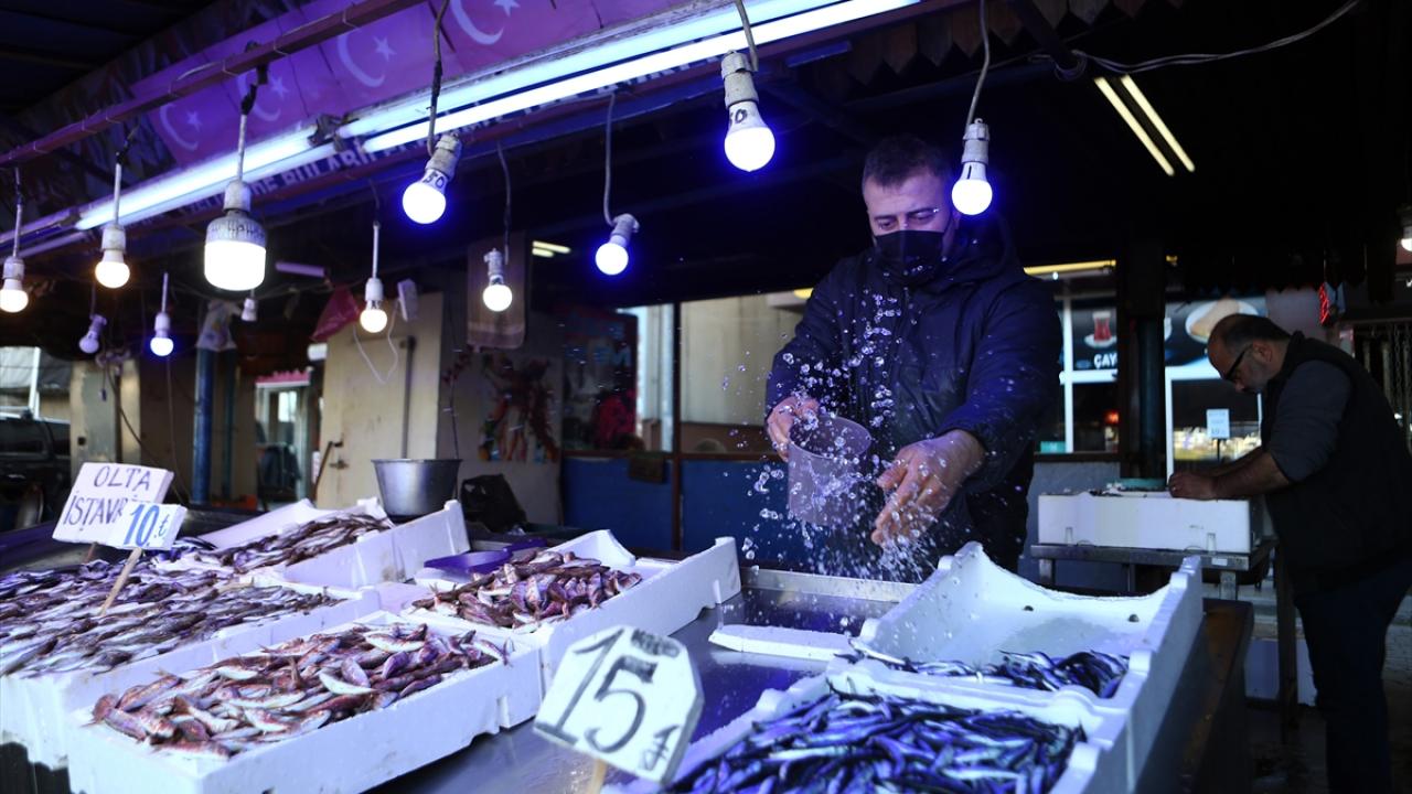 Balıkçılardan alışveriş yapan vatandaşlar da gerek fiyatların gerekse balık çeşidinin bolluğundan memnun olduklarını dile getirdi.