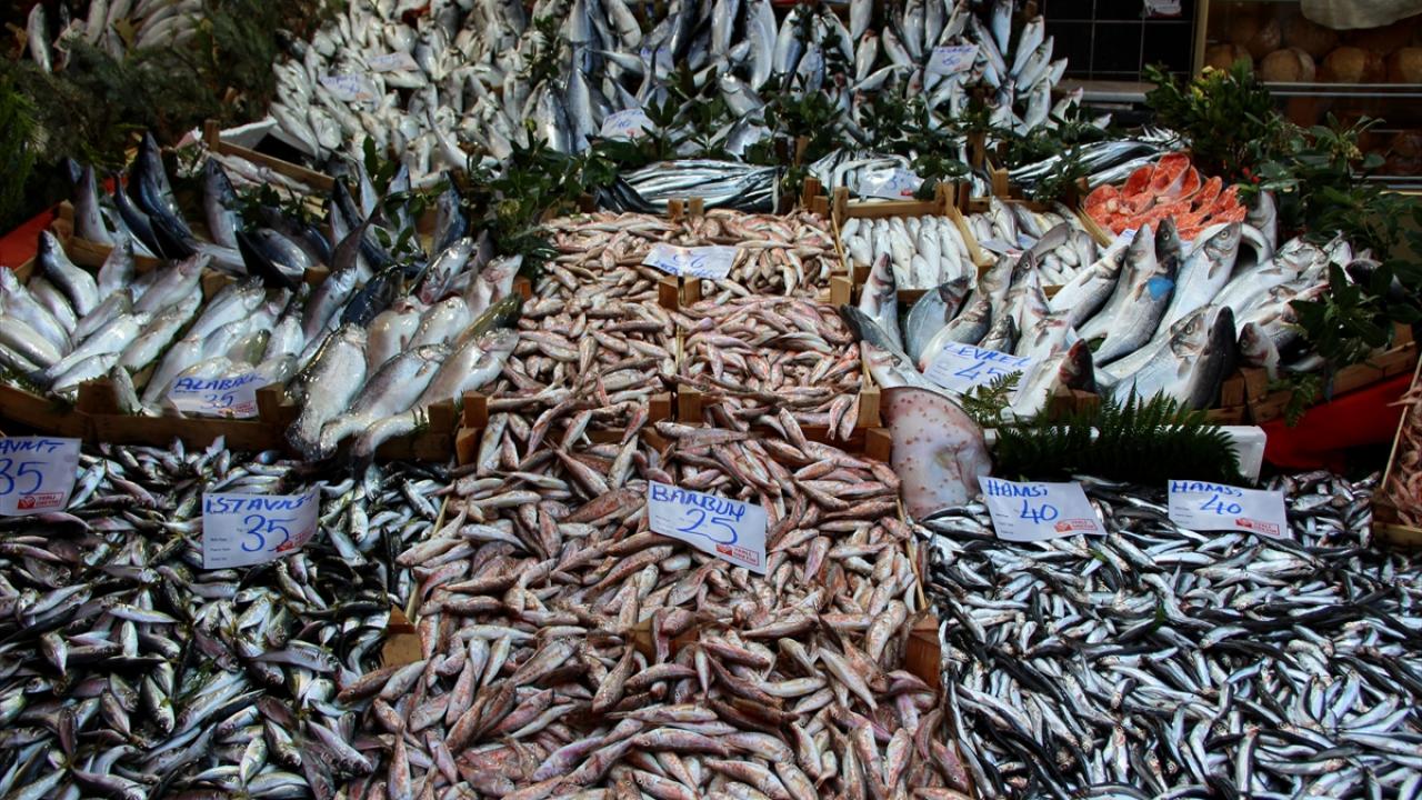 Az miktarda bulunan hamsinin kilogramı ise 40, kolyoz 25, çipura 60, levrek 70 liradan satılıyor.