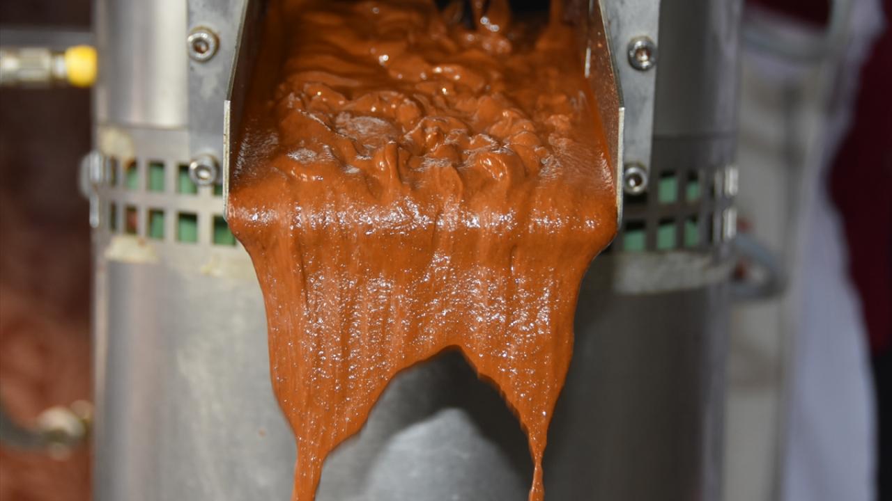 Hem toz hem yaş kahve üretildi