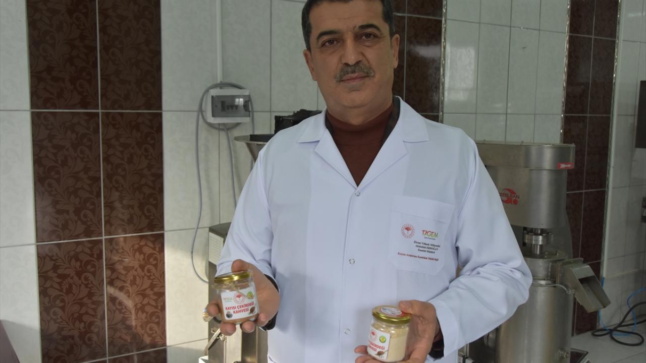 "Kayısı çekirdeği instant kahvesi merkezi kurmayı planlıyoruz"