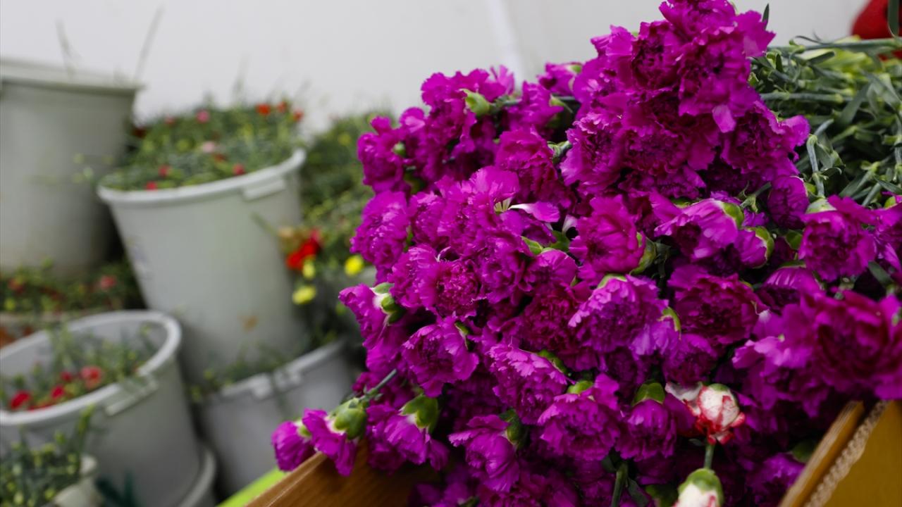 Sektör 2021`den umutlu