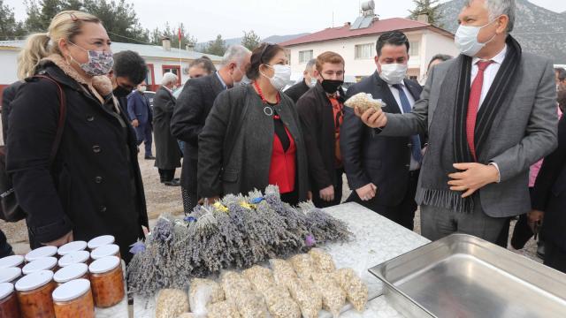 Fekede 210 bin lavanta fidesi dağıtıldı