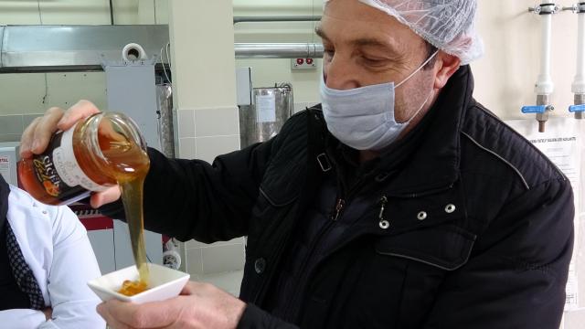 Prof. Dr. Dodoloğlu: Bal insanın ömrünü uzatır