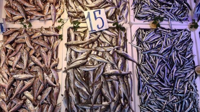 Hamsinin yerini barbun aldı