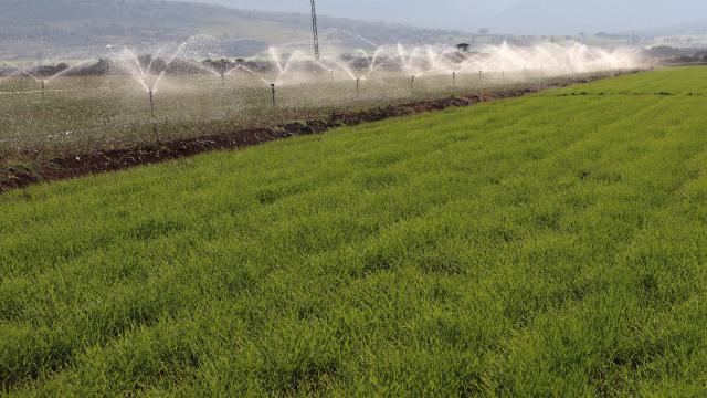 Arabanlı çiftçileri kuraklık endişesi sardı
