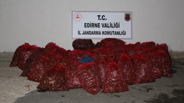 Edirnede kaçak 1,5 ton kum midyesi ele geçirildi
