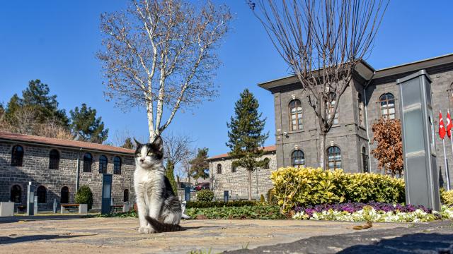 Diyarbakırın tarihi mekanlarında sokağa çıkma kısıtlamasında sessizlik hakim