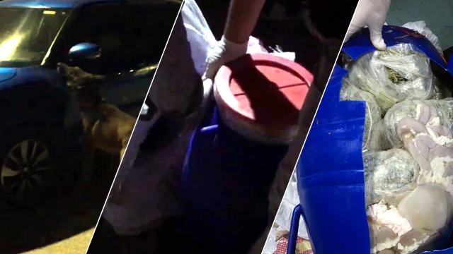 Dondurulmuş şırdan bidonunda uyuşturucu sevkiyatı