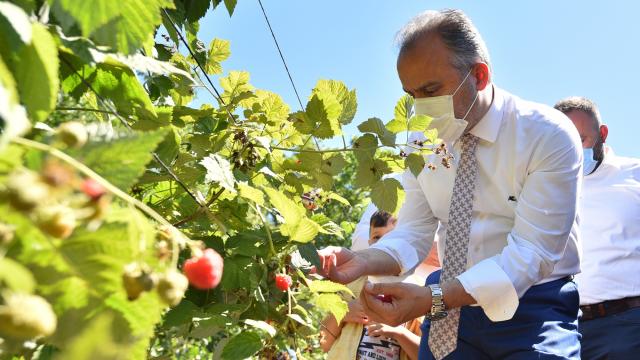 Tarım AŞnin bu yıl ihracat hedefi 1 milyon dolar