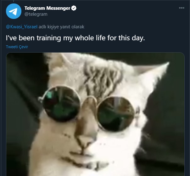 Telegram`dan WhatsApp`a gönderme