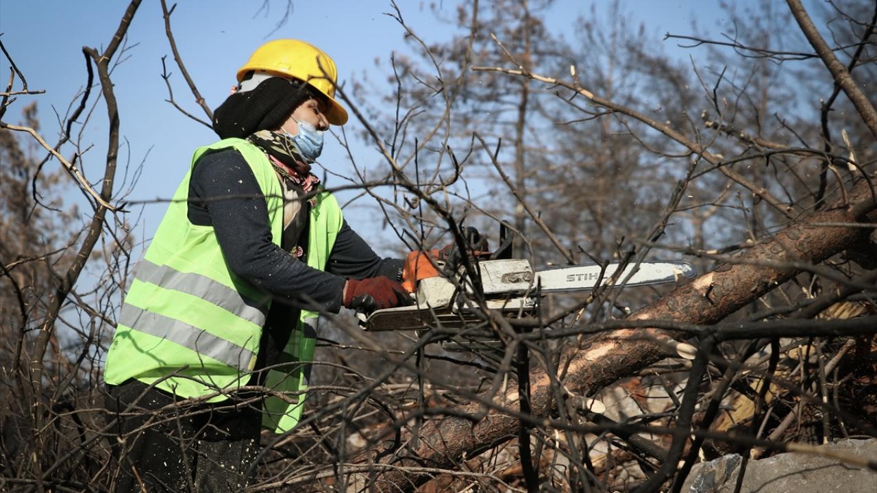 Ormanların kadın işçisi 3 çocuk büyütüyor