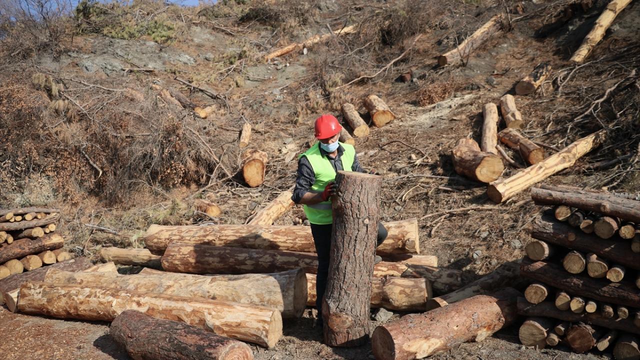 Geçimini bu şekilde sağladığını belirten Akdeniz, ev ekonomisine katkı sunduğunu vurguladı.