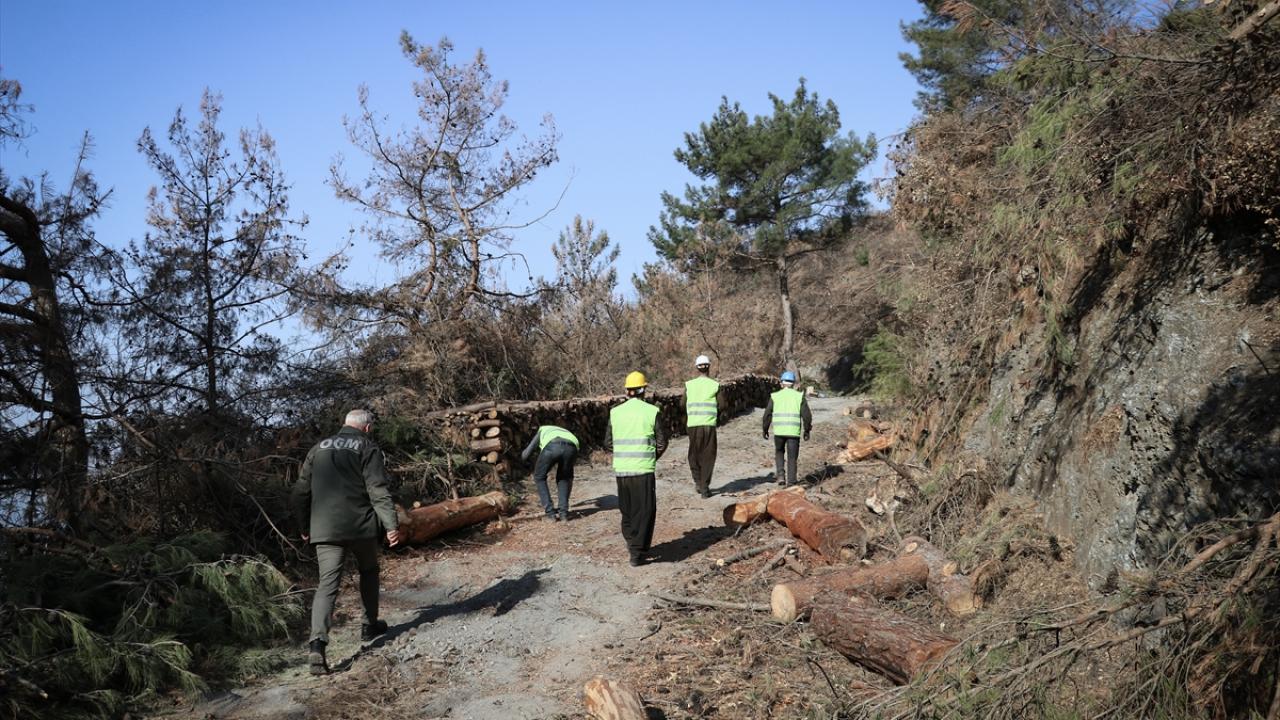 Ormanlarda 35 yıldır tahtacılık yapan 50 yaşındaki evli ve 3 çocuk babası Erdal Geç de yanan ormanlarda çalışmak üzere Mersin`den geldiğini söyledi.