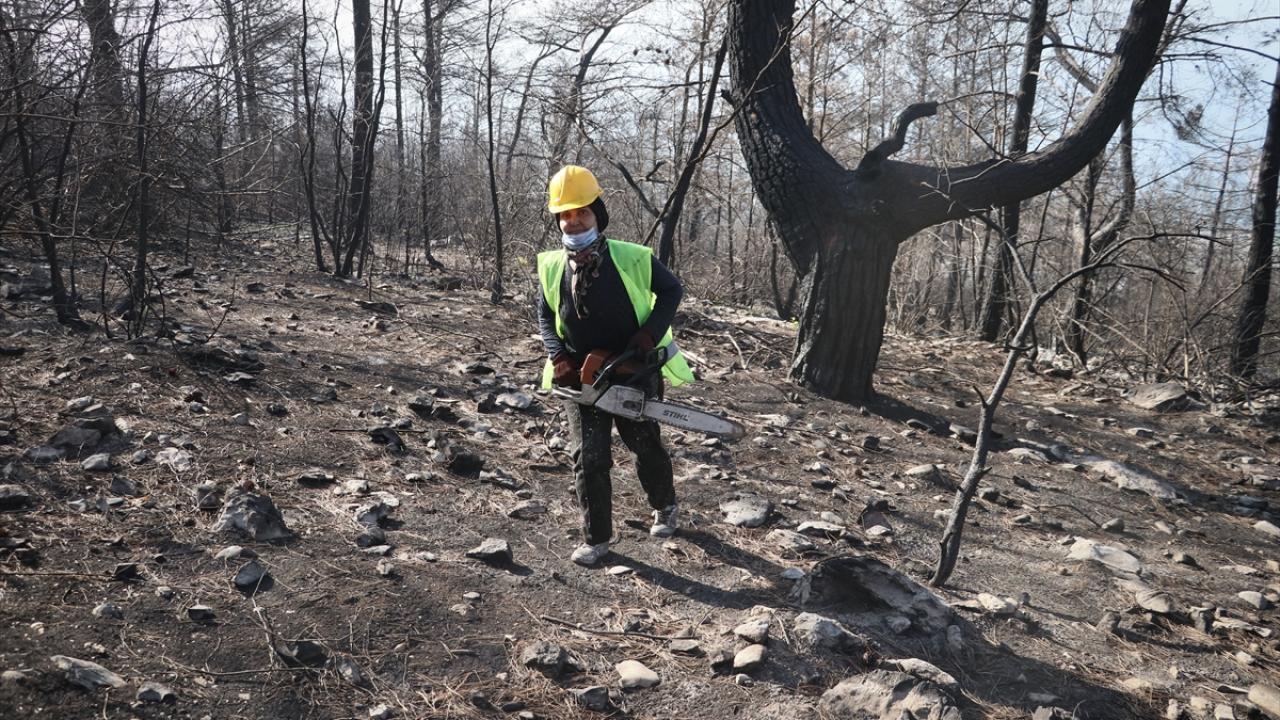 Sabahın erken saatlerinde mesaiye başladıklarını aktaran Geç, tahtacılığın zor olduğunu anlattı.