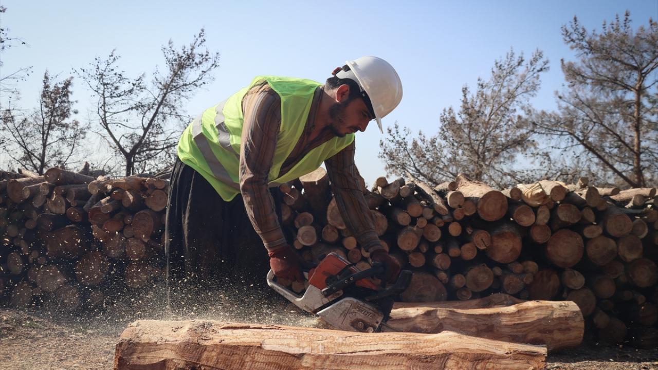 "Yılın 12 ayı çalışıyoruz"