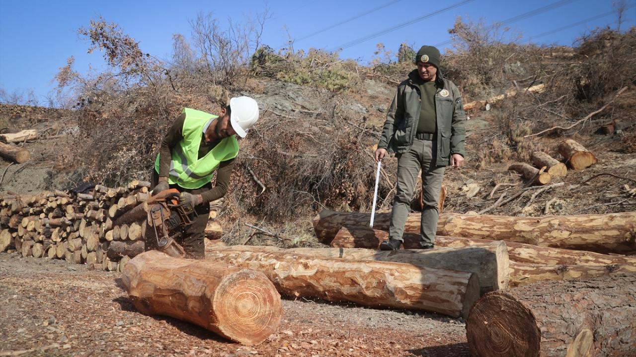 Tayfur Özakçıoğlu ise 10 yıldır geçimini ormandan sağladığını kaydetti.