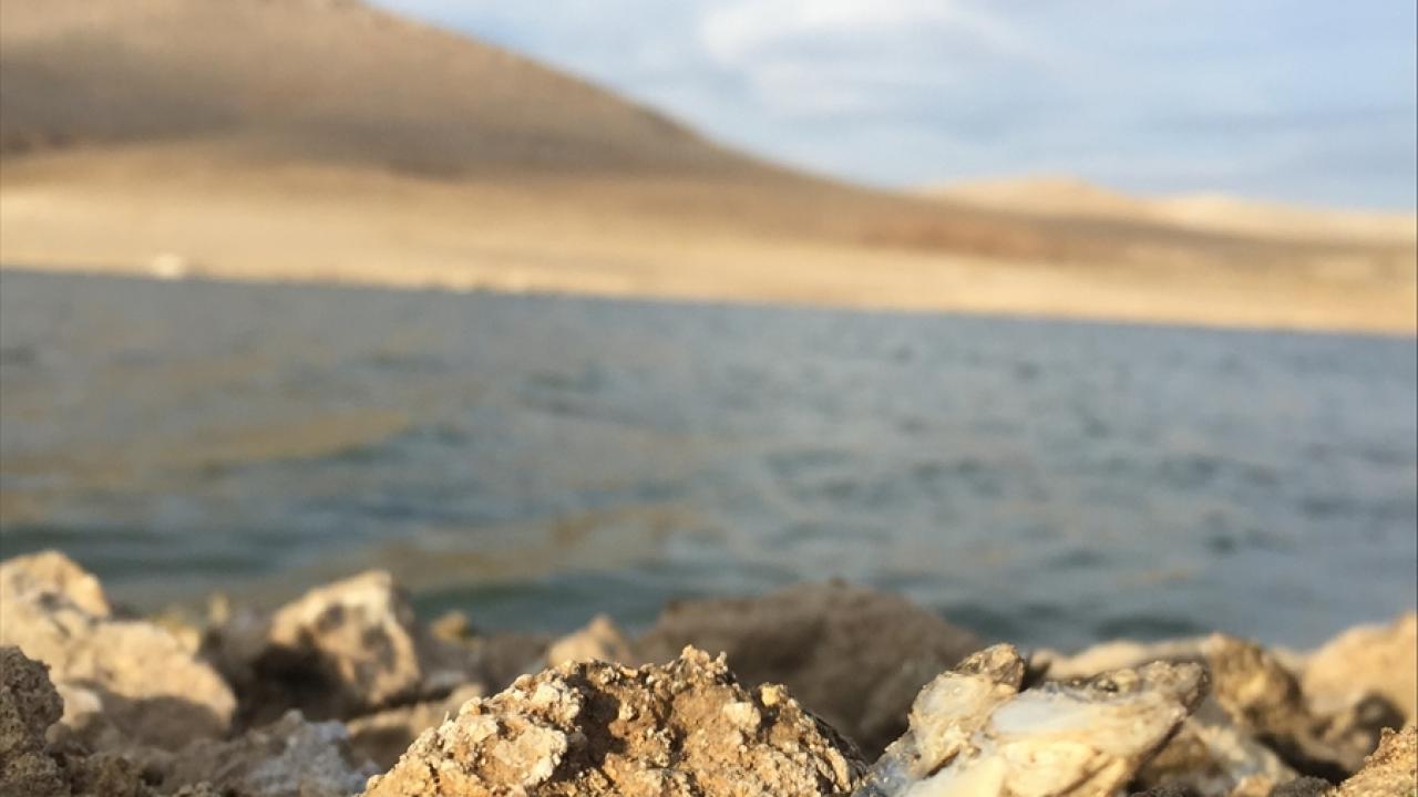 Barajın göl alanı, bu yıl yağış azlığı ve kuraklığın etkisiyle adeta bir futbol sahasına kadar geriledi. 