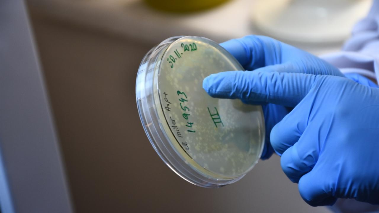 "Geliştirdiğimiz aşıda soğuk zincire gerek kalmayacak"