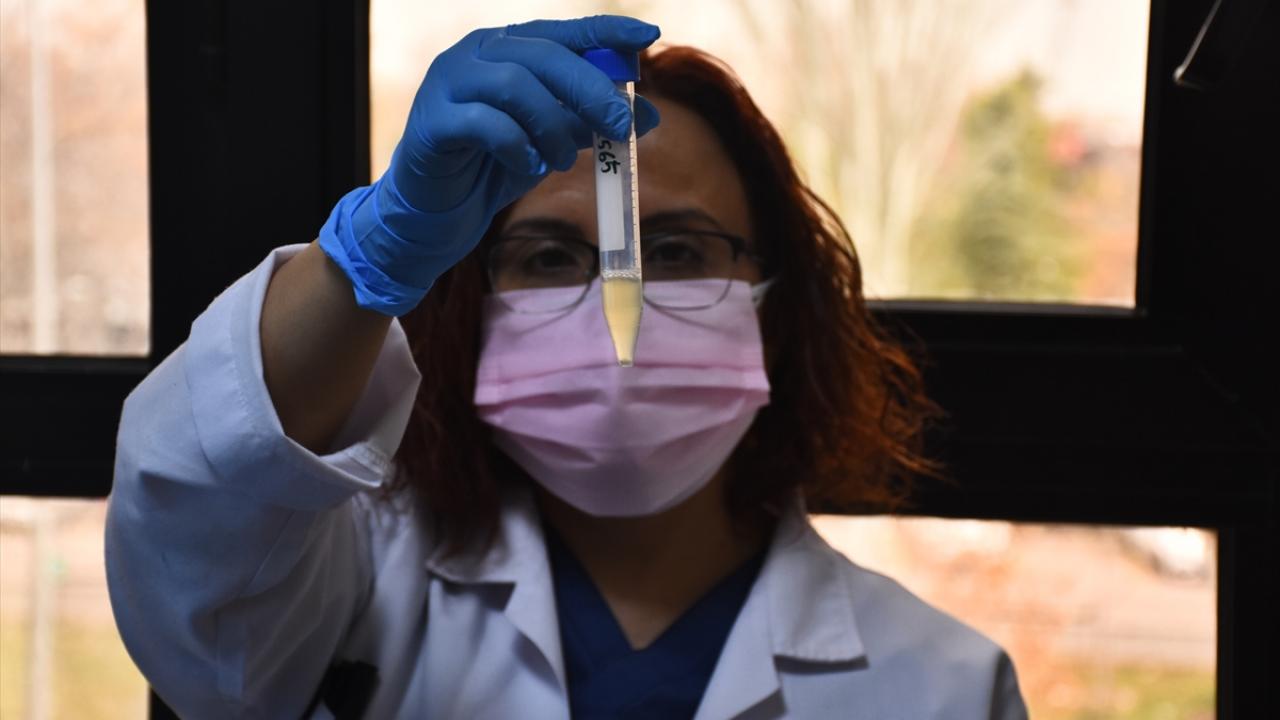 "Laboratuvarımızın ışıkları 6 aydır hemen hemen hiç sönmedi"