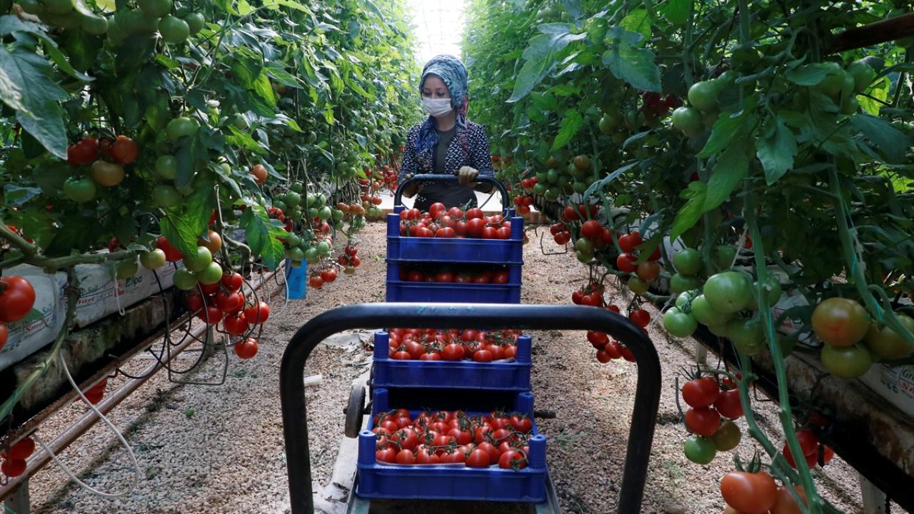 "Pandemiye rağmen başarılı bir yıl geçirdik"