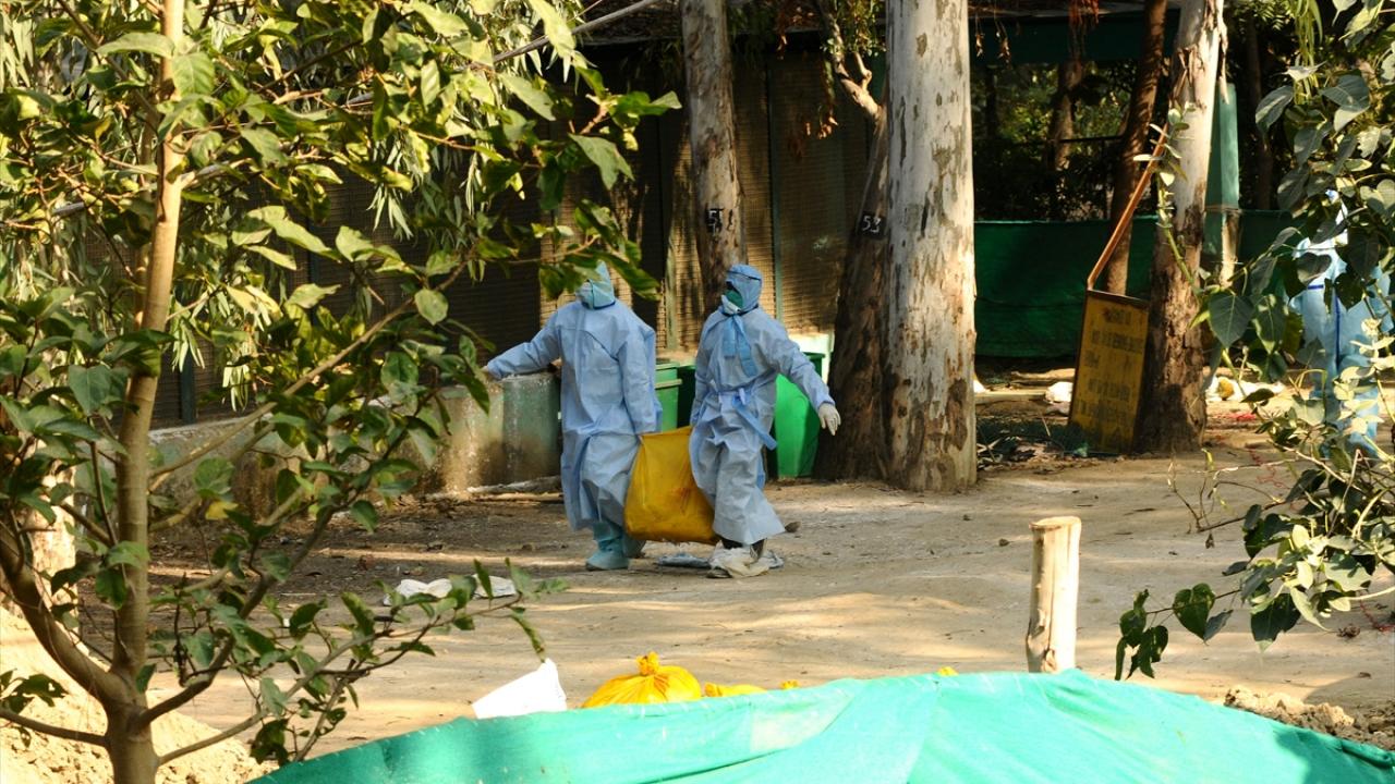 Chandel, Maharaştra`da şimdiye kadar tek bir yerde salgın görüldüğünü belirtti.