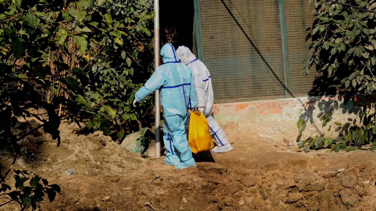 Delhi Hayvan Yetiştiriciliği Birimi Direktörü Dr. Rakesh Singh de ölü kuşlardan alınan örneklerden 8`inde H5N8`e rastlandığını söyledi.