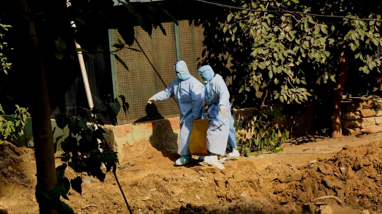 Nüfusun 114 milyonla oldukça yüksek olduğu Delhi ve Maharaştra`da ise yetkililerin salgını önlemek için binlerce kanatlı hayvanı itlaf ederek ilave tedbirler alması bekleniyor.