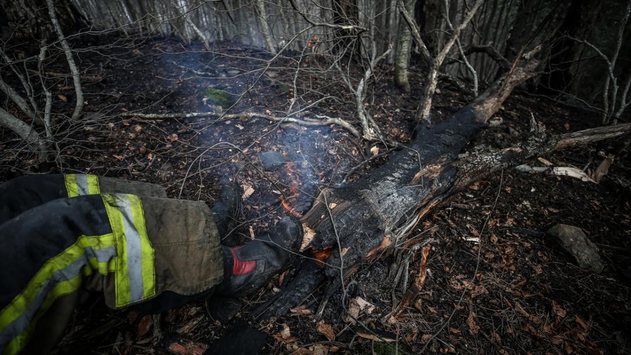 Ekipler, ilk belirlemelere göre mangal ateşinden çıktığı öne sürülen yangını söndürerek soğutma çalışması yaptı.