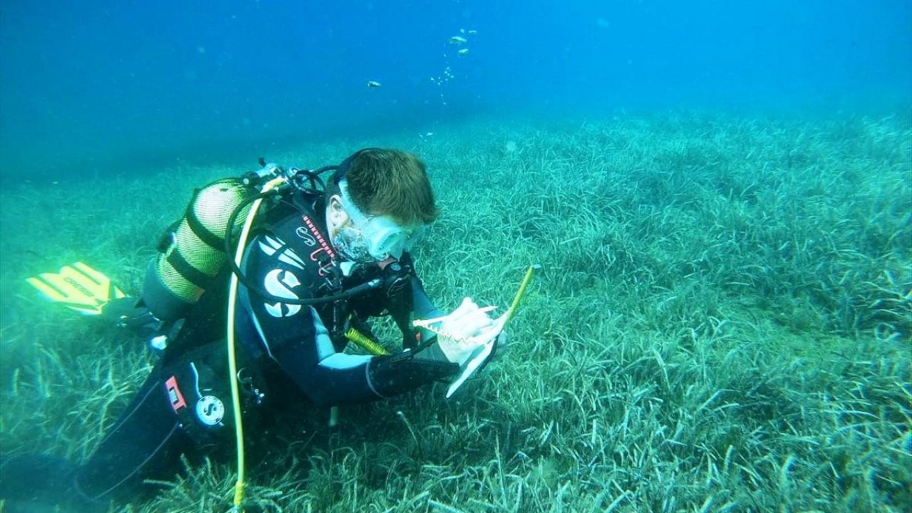 Gerçe, proje kapsamında akademisyenlerle çalıştıklarını belirtti.