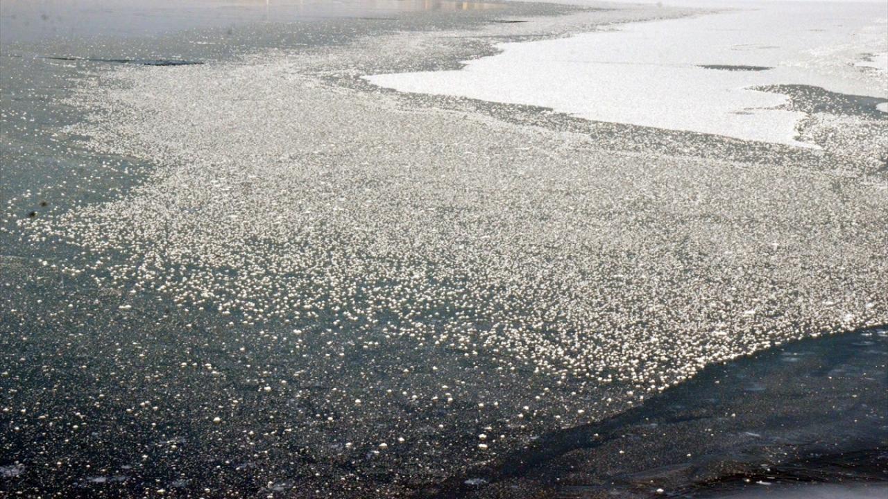 Rüzgar, genellikle güney ve batıdan hafif, zaman zaman orta kuvvette, Van Gölü`nde ise doğudan saatte 30 kilometre kuvvetinde esecek. 