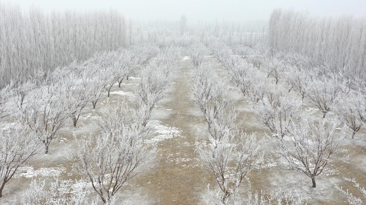Iğdır`da beyaza bürünen kayısı bahçeleri güzel görüntüler oluşturdu.