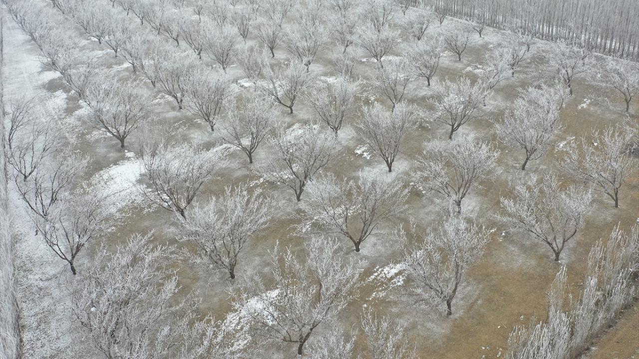 Doğu Anadolu Bölgesi`nde etkisini sürdüren soğuk hava, bir yandan hayatı zorlaştırırken diğer taraftan da güzel görüntüler oluşturuyor. 