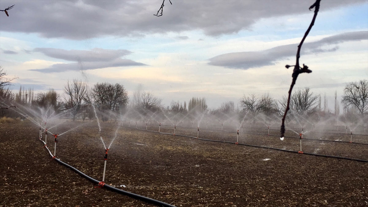 Son 3 ayda, uzun yılların ortalamasının yarısı kadar yağış alan Türkiye`nin "tahıl ambarı" Konya`da, kışın da kurak gitmesi çiftçileri telaşlandırdı. Bazı çiftçiler, tarlasını suladı.