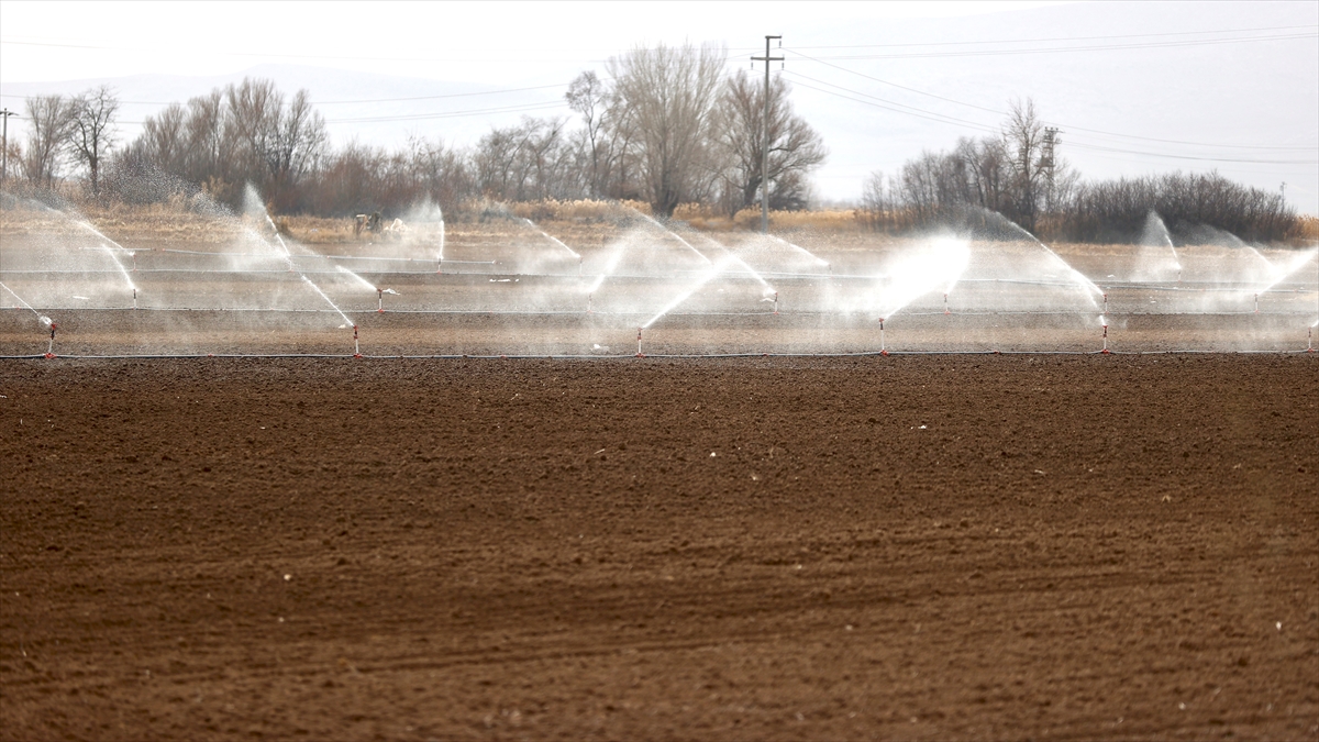 "Tek umudumuz yağışlar"